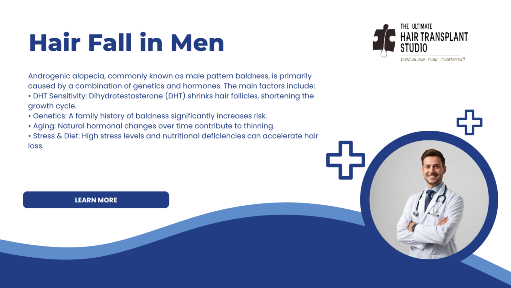 hair fall causes in male blog
